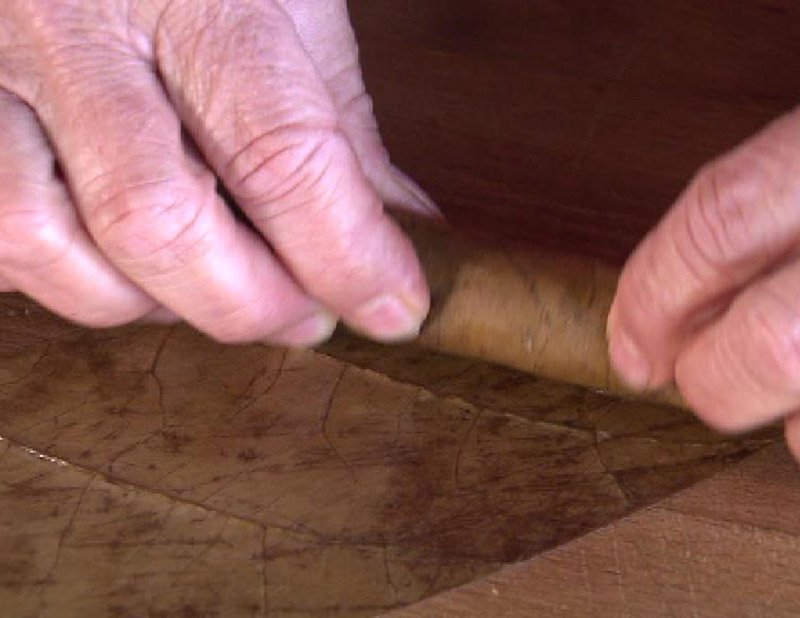 Die Tabak-Blätter werden in liebevoller Handarbeit zu einer Longfiller-Zigarre gerollt.