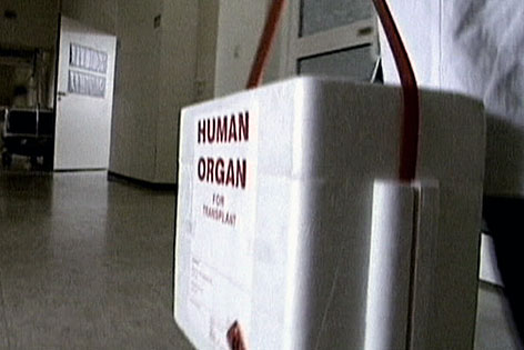 Transportbox für Spenderorgan vor Transplantation