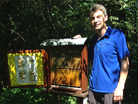 Bienenparadies in Langenwang