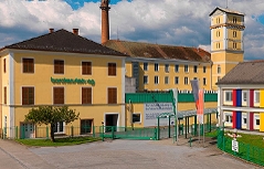 Borckenstein in Neudau