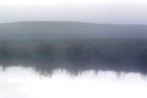 Teich im nebel (Symbolfoto)
