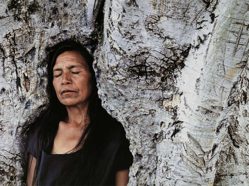 Shirin Neshat, "Tooba", 2002, Video still