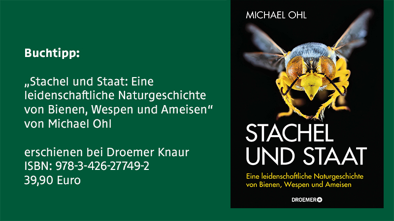 Das Sachbuch „Stachel und Staat: Eine 
leidenschaftliche Naturgeschichte", geschrieben von Michael OHl, widmet sich den  Bienen, Wespen und Ameisen.