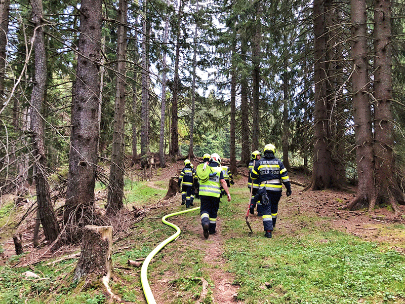 Feuerwehrmänner im Einsatz bei Waldbrand in Wörschach