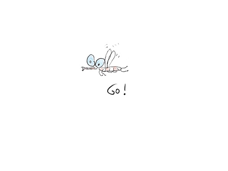 Logo "Go Bugs Go"